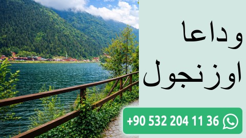 وداعا اوزنجول